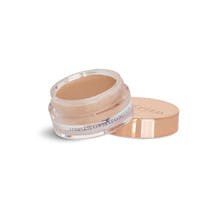 Sculpted Complete Cover Up Concealer - Tan 5.0